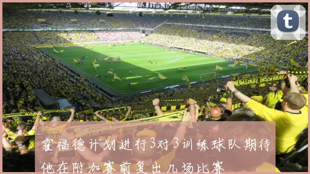霍福德计划进行3对3训练球队期待他在附加赛前复出几场比赛