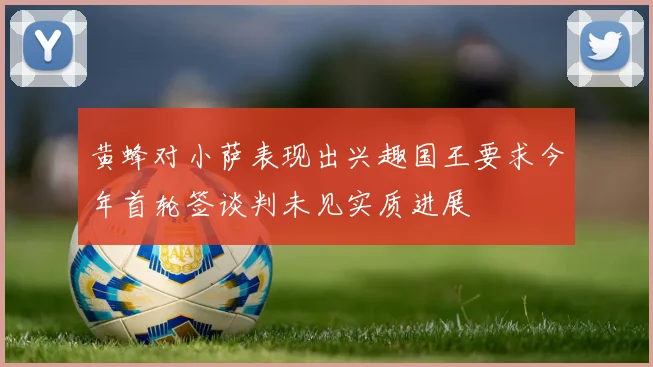 黄蜂对小萨表现出兴趣国王要求今年首轮签谈判未见实质进展