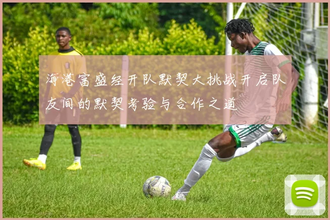 海港富盛经开队默契大挑战开启队友间的默契考验与合作之道