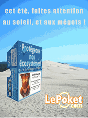Cendriers de poche en carton